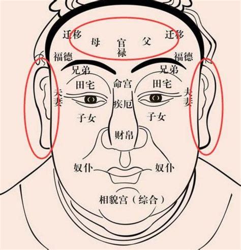 福鼻面相|相学最有福气的7种鼻子，七大有福之鼻